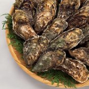 【牡蠣是什么】牡蠣的功效與作用