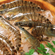 【蝦的營(yíng)養(yǎng)價(jià)值】蝦的做法大全_蝦的營(yíng)養(yǎng)價(jià)值及功效