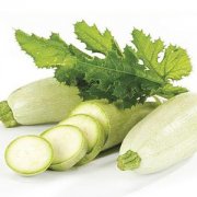 【西葫蘆的營養(yǎng)價值】西葫蘆的功