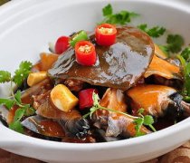 【甲魚怎么殺】甲魚的做法大全_