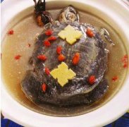 【吃甲魚過敏怎么辦】吃甲魚過敏