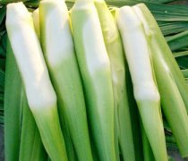 【茭白是什么】茭白是發(fā)物嗎