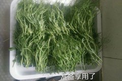 無(wú)土栽培豌豆苗的做法