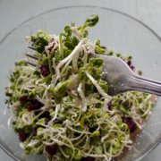 蘿卜苗蔓越莓沙拉的做法