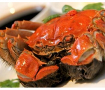 【青蟹怎么殺】青蟹是什么_青蟹的營養(yǎng)