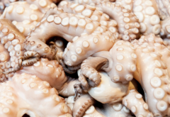 【石章魚】石章魚的做法_石章魚的營養(yǎng)價值