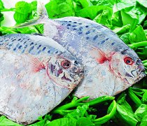 【鯧魚怎么洗】鯧魚怎么做好吃_