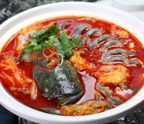 【鯰魚的營養(yǎng)價值】鯰魚的做法大