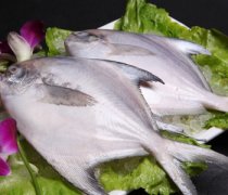 【鯧魚怎么做好吃】鯧魚怎么祛腥