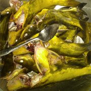 黃顙魚和鯽魚哪個營養(yǎng)價值高