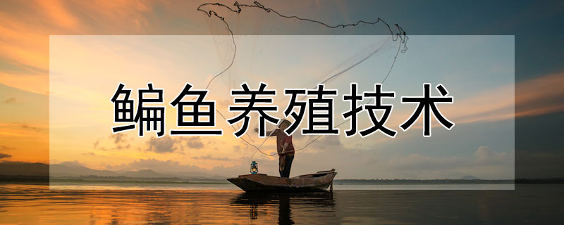 鳊魚養(yǎng)殖技術