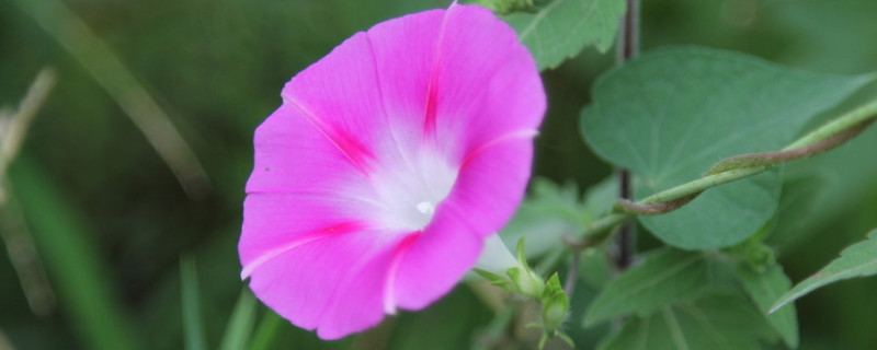 牽?；ㄒ圃院笮氯~變干怎么辦