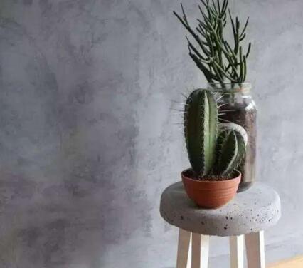 仙人掌的養(yǎng)殖方法和注意事項(xiàng)，小白都能學(xué)會(huì)的種植方法和技巧