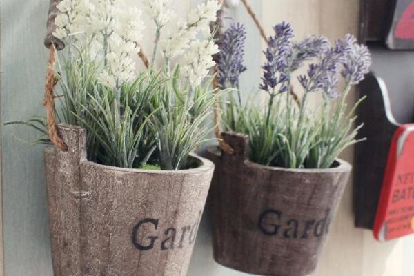 薰衣草盆栽的種植方法，薰衣草種植的5大要點(diǎn)