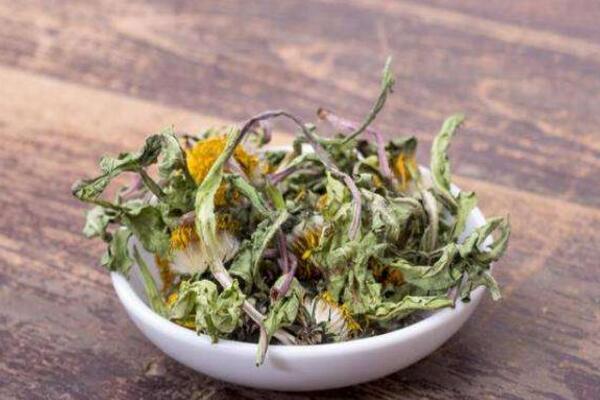 長期喝干蒲公英水好嗎，長期飲用會導(dǎo)致腹痛、腹瀉