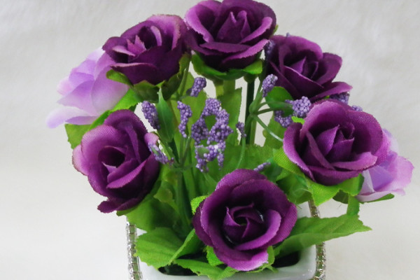 盆栽小玫瑰花怎么養(yǎng)