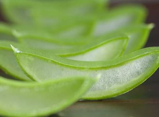 蘆薈膠的正確用法，教你三種效用最大的簡(jiǎn)單方法