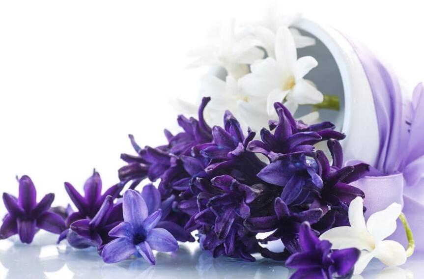 風(fēng)信子花期是什么時(shí)候，不同的品種不同的時(shí)間