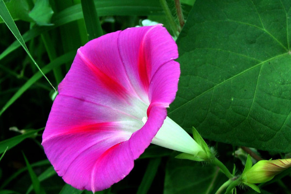 牽?；€根怎么辦