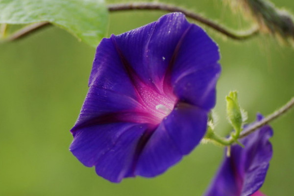 牽?；▽υ袐D有影響嗎