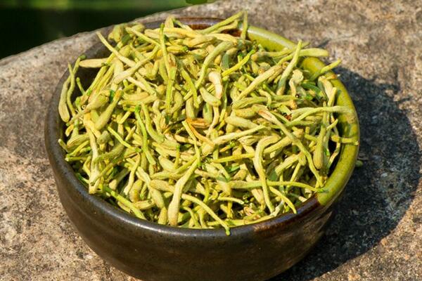 金銀花孕婦能喝嗎，只能少量飲用