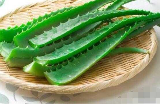 蘆薈的功效，美容養(yǎng)顏、防御病菌、減肥止痛