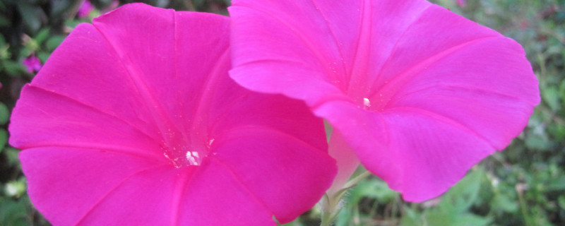 牽?；ǚN子可以用真空保存嗎