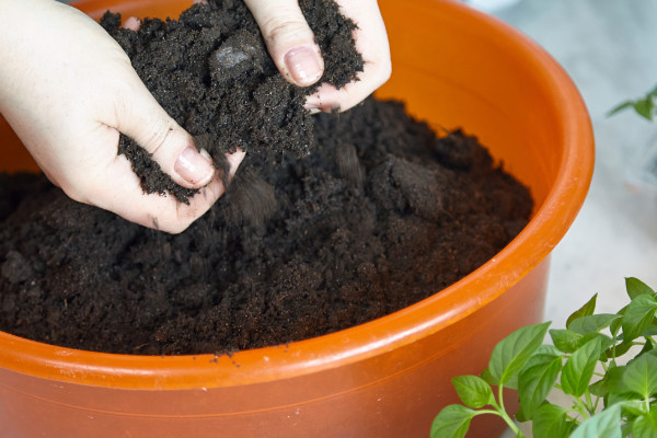泥炭和草炭的區(qū)別