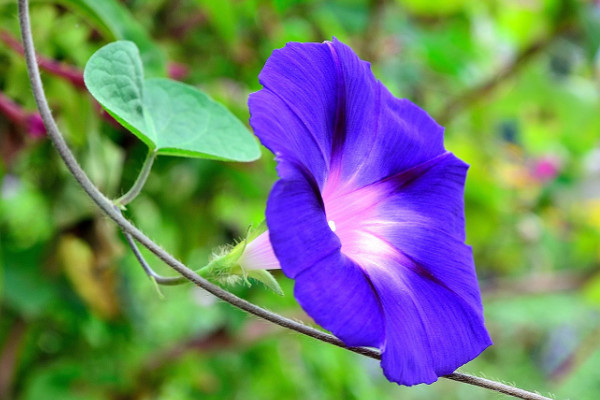 牽?；ㄩL太高怎么辦