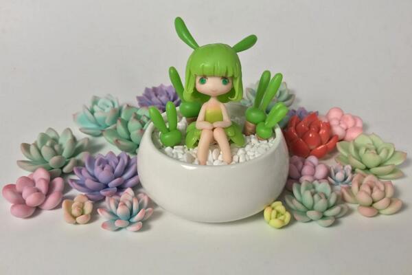 碧光環(huán)怎么養(yǎng)殖，5步教你養(yǎng)好碧光環(huán)