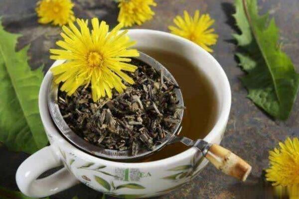 蒲公英茶哪些人不宜喝，體質(zhì)虛寒、過敏、孕婦都不宜飲用