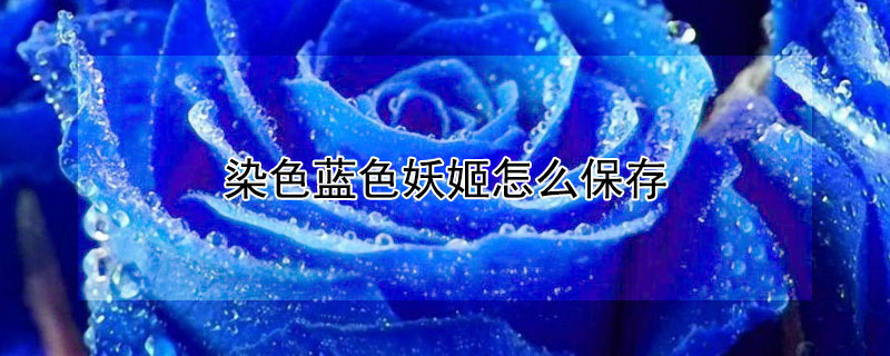 染色藍(lán)色妖姬怎么保存