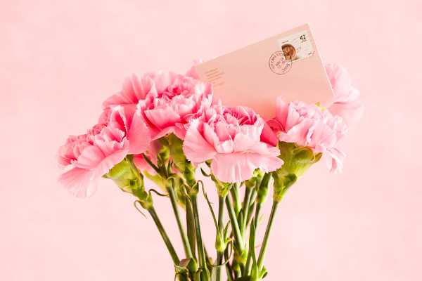 康乃馨播種時(shí)間和方法