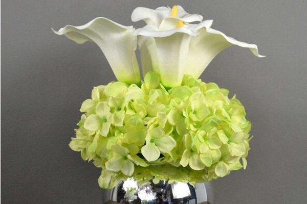 馬蹄蓮插花瓶能養(yǎng)多久，養(yǎng)護得當可保存半個月以上