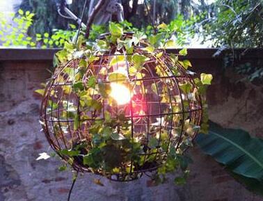 常春藤怎么水培，勤換水并且第一次要澆透營養(yǎng)液