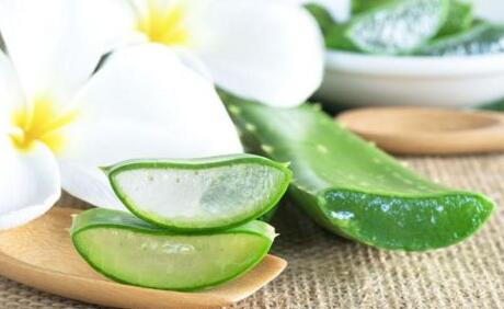 蘆薈美容的使用方法，自制美容小妙招