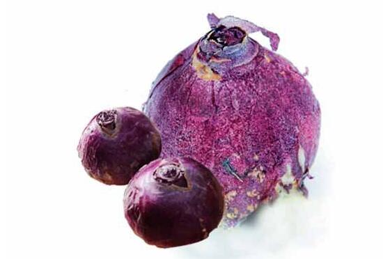 風(fēng)信子種球發(fā)霉怎么辦，涂抹滅菌靈、保持創(chuàng)面干燥