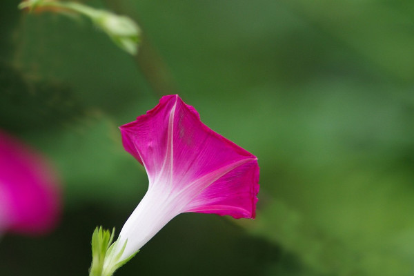 牽?；ㄊ┓试谀膫€(gè)階段