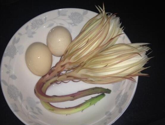 新鮮曇花怎么吃，泡茶喝最為簡單食用(價值高)