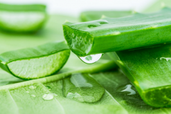 蘆薈美容的方法，如何正確使用蘆薈美容