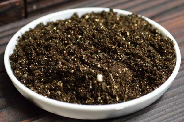 碧光環(huán)怎么種植，4步即可完成碧光環(huán)的種植