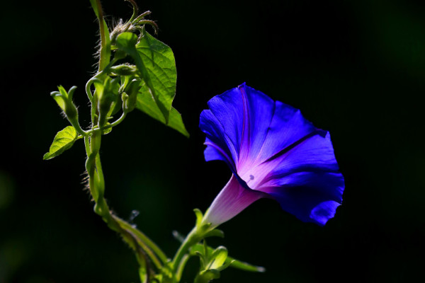 牽?；ㄇ锾鞎?huì)死嗎