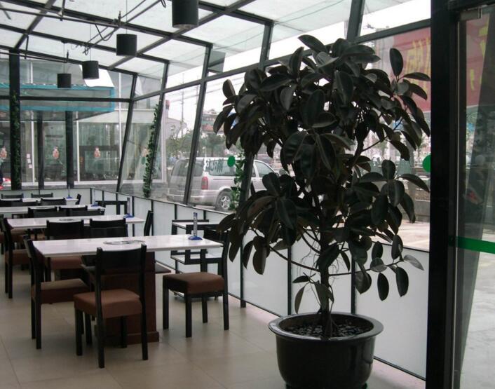 橡皮樹落葉子怎么回事，中自然原因和病害5種原因造成的