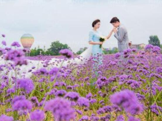 薰衣草的花語(yǔ)是什么，代表著心心相印、愛(ài)情的等待