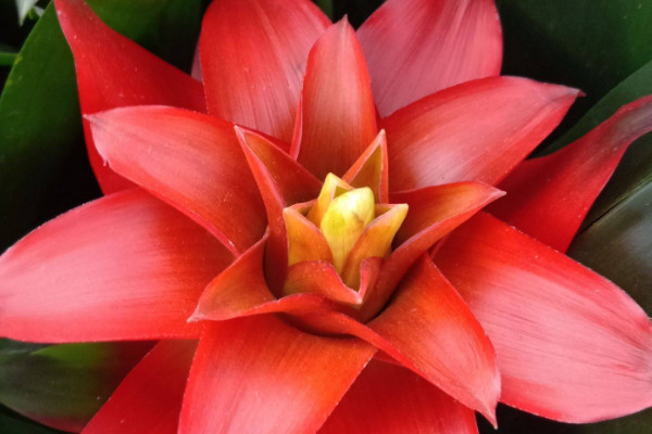 鴻運當(dāng)頭怎么管理