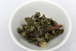 蒲公英泡水喝的禁忌，蒲公英泡水四大禁忌