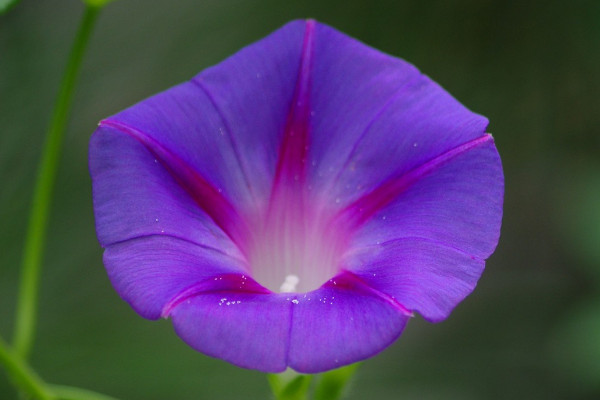 牽?；萘嗽趺崔k