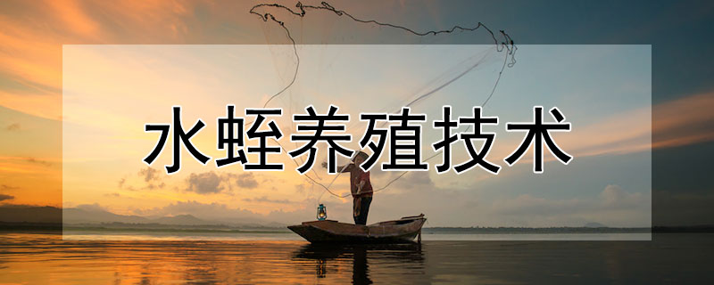 水蛭養(yǎng)殖技術