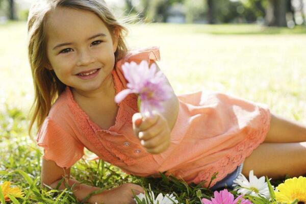 斑馬葉萬(wàn)年青有毒嗎，可以在室內(nèi)養(yǎng)殖但要小心謹(jǐn)慎（有毒）