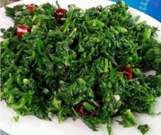 萬年青怎么吃，可制作成一道道佳肴美味的菜譜(四種吃法)